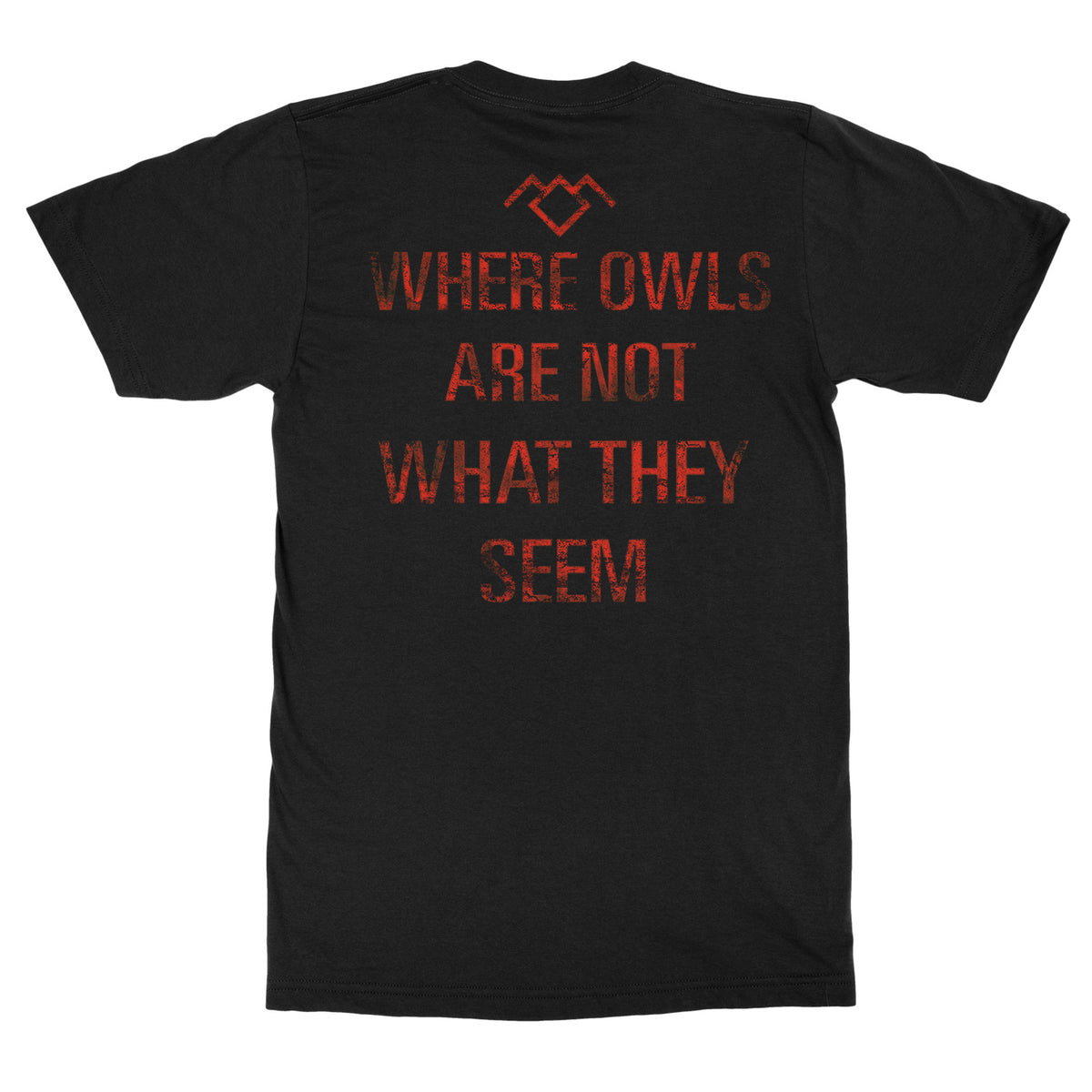 Where Owls Are Not What They Seem