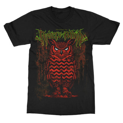 Where Owls Are Not What They Seem